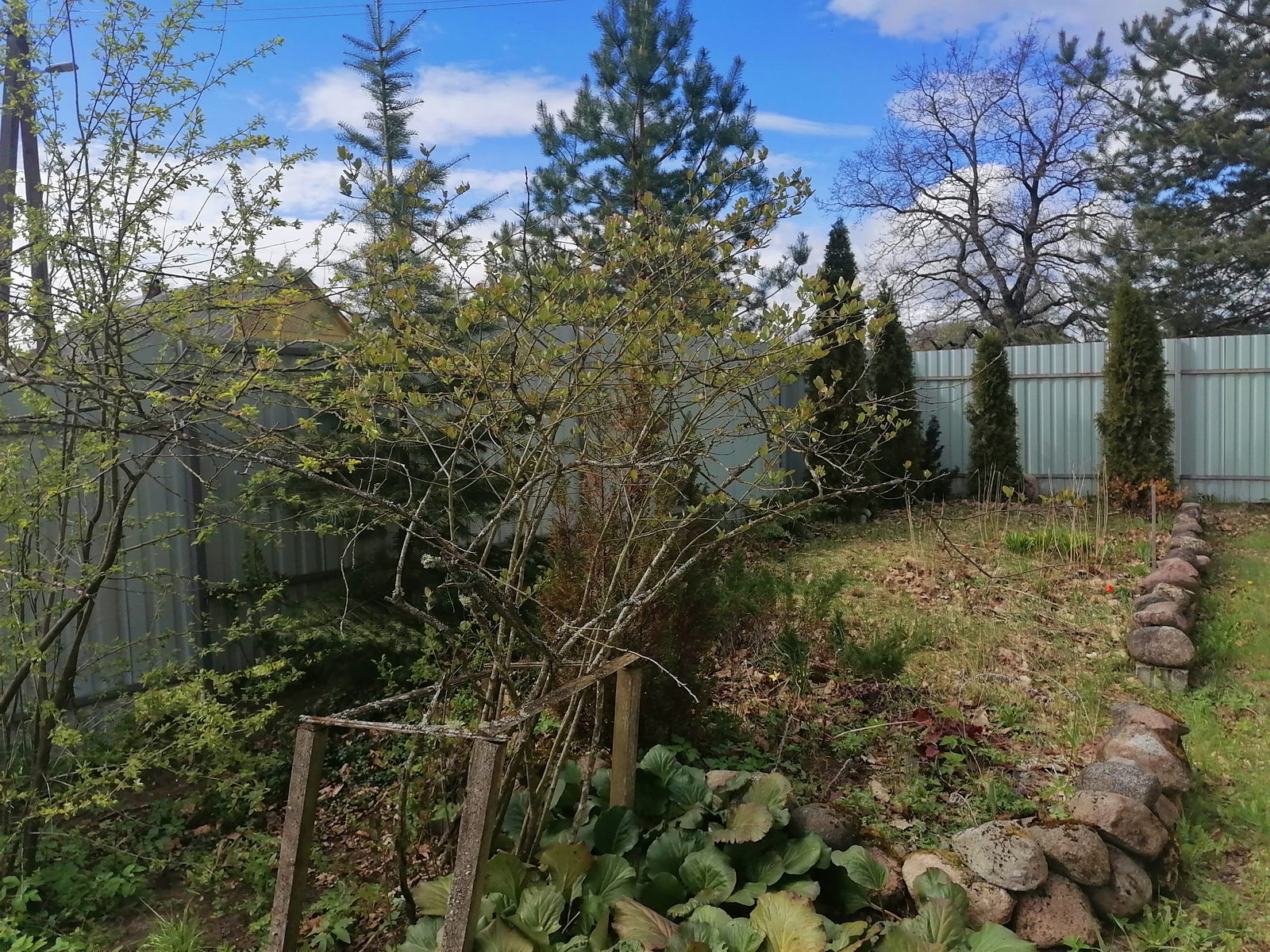 Жилой дом с уч. 19 сот - фото 9