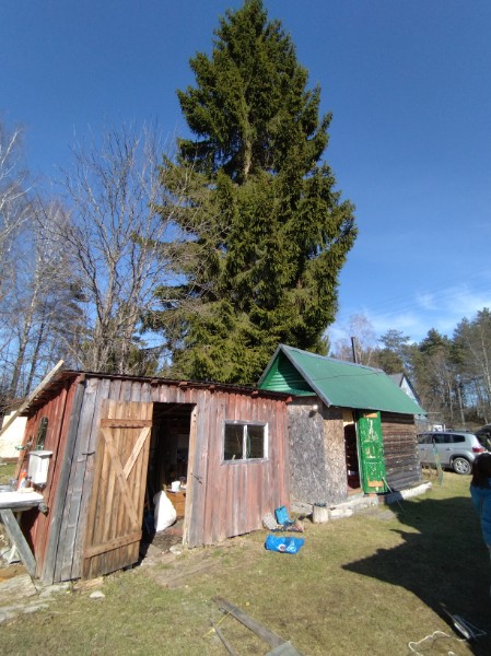 Дача снт Дружба - фото 5