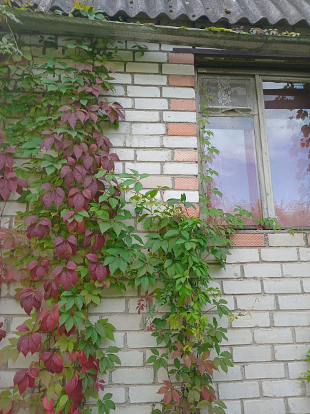 Продается дом возле озера - д. Молгово