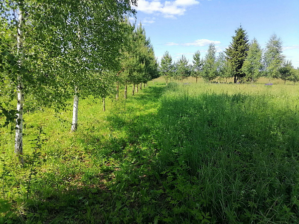 Продам уч. 52 сот. д. Лакамцево