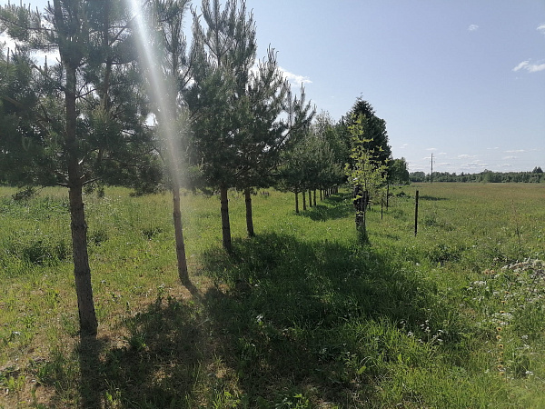 Продам уч. 52 сот. д. Лакамцево