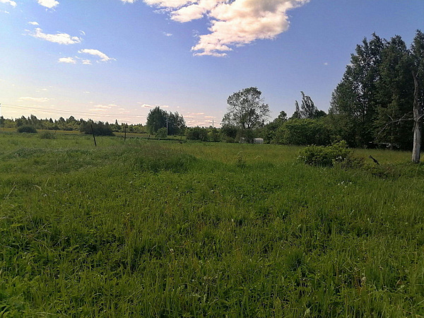 Участок 30 соток - деревня Лакомцево