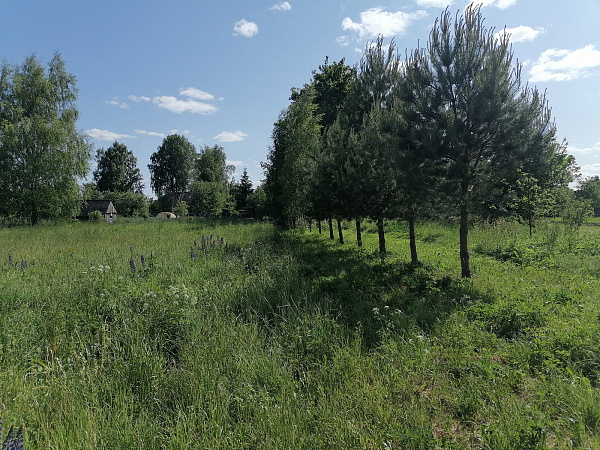 Продам уч. 52 сот. д. Лакамцево