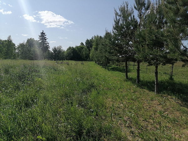 Продам уч. 52 сот. д. Лакамцево