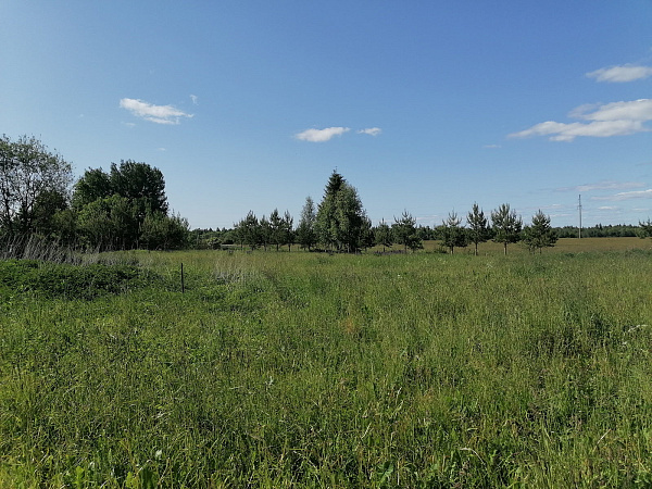 Продам уч. 52 сот. д. Лакамцево