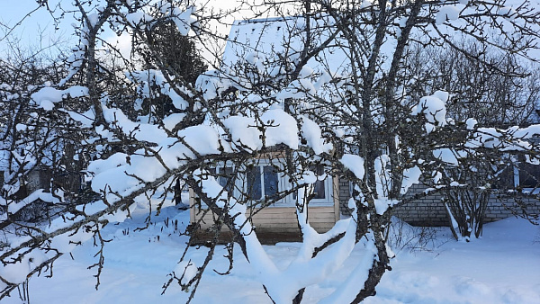 Дом 56 кв.м. в д. Лавры