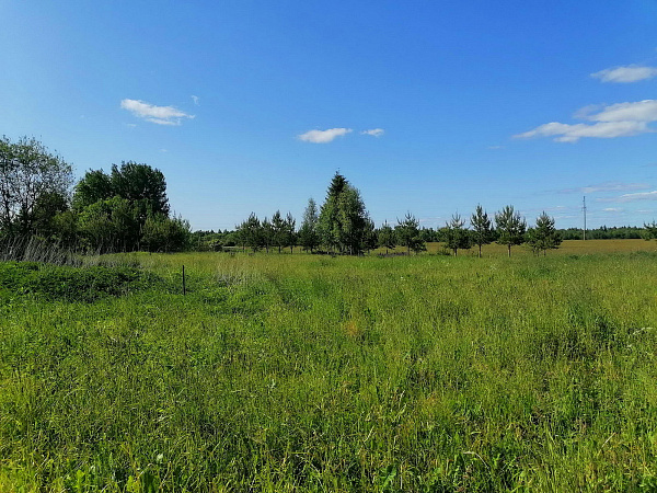 Продам уч. 52 сот. д. Лакамцево